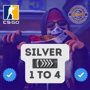 CSGO Silver Account For Sale